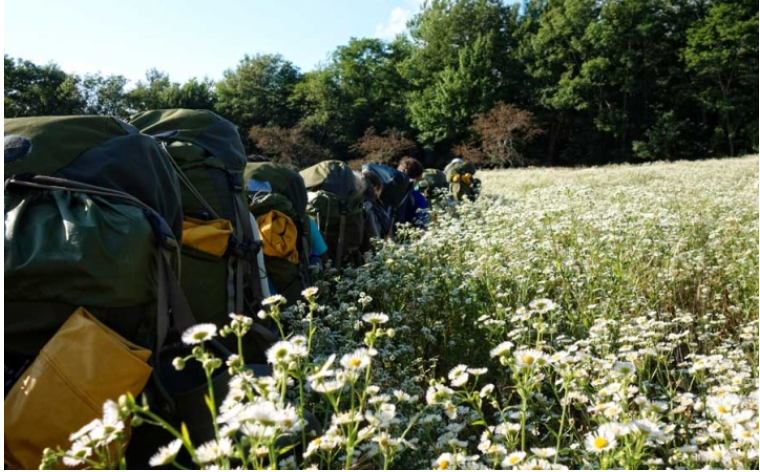 西安军事拓展训练 西安军事拓展训练
