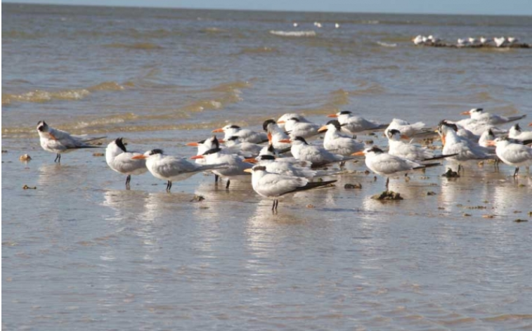 西安军事拓展训练