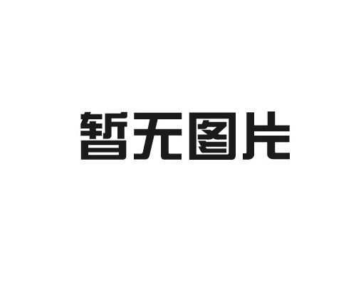 安保服务